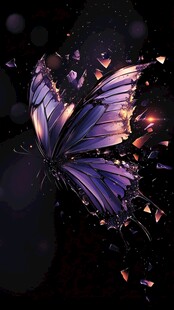 梦幻破碎蝴蝶在暗夜飞舞