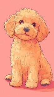 可爱卷毛小狗坐立图