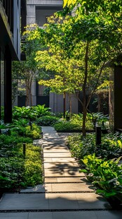 庭院绿荫小道静谧景致