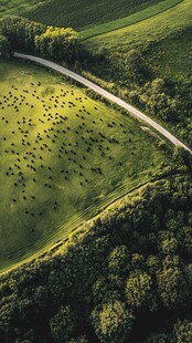 航拍绿野中的蜿蜒公路