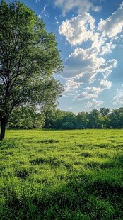 绿野蓝天间的静谧风光