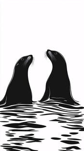 水中双海豹的黑白剪影
