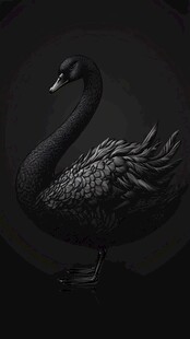 优雅黑天鹅 尽显神秘气质