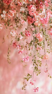 粉色垂吊花卉浪漫景致