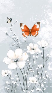 蝶舞白花间的梦幻景致