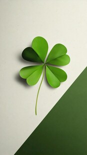 四叶草特写 清新绿色风