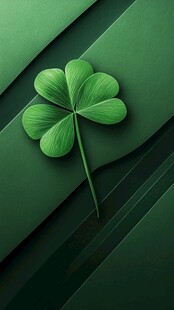 四叶草特写 清新绿意背景