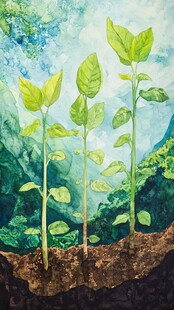 新生绿植 展现自然生命力