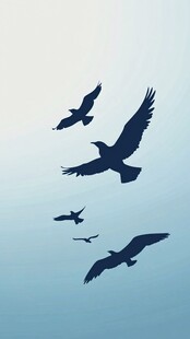 飞鸟翱翔于天际