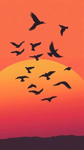 夕阳下群鸟翱翔美景