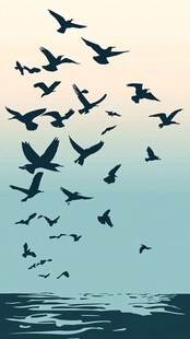 群鸟翱翔于海空之间