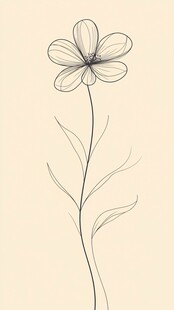 简约线条风单朵花卉插画