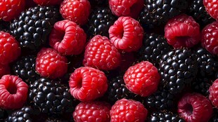 树莓黑莓大集合