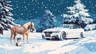 雪夜中马犬与白色轿车