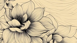 复古线条风莲花艺术插画