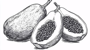 手绘木瓜果实插画