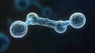 微观世界的神秘细胞结构