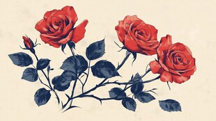 手绘红玫瑰插画