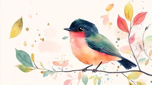枝头彩鸟 水彩绘就的灵动