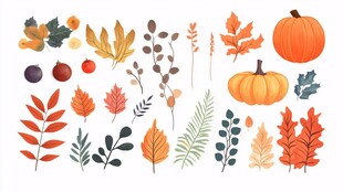 秋季元素插画集合