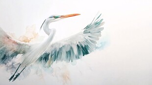 白鹭展翅水墨画意境美