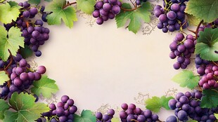 紫葡萄绿叶环绕的边框