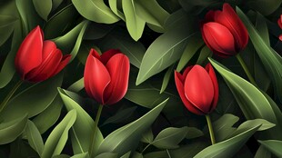 红郁金香与绿叶的美妙邂逅