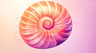 梦幻色彩螺旋贝壳图案