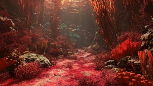 梦幻海底红色珊瑚景观