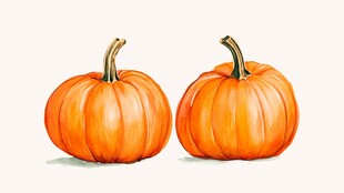 两个橙色南瓜水彩画