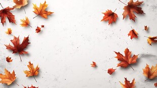 秋景枫叶散落白色背景