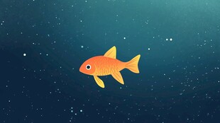 水中畅游的可爱小金鱼