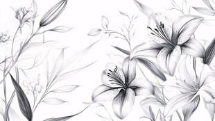 黑白手绘百合花花卉图案