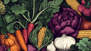 多彩新鲜蔬菜大集合