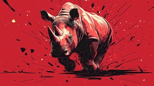 奔跑的热血犀牛