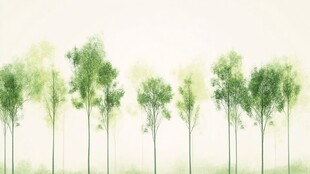梦幻绿色树林风景图