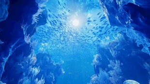 梦幻海底世界 阳光与鱼群