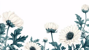 白菊绿植边框插画