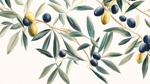 橄榄枝与果实插画