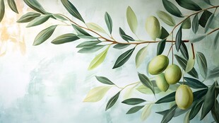 橄榄枝特写 清新自然画面