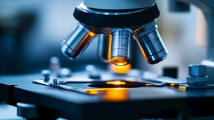 显微镜下的微观世界探索