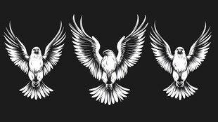 三只展翅雄鹰图案设计