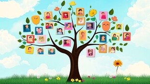 家庭照片树 洋溢温馨氛围