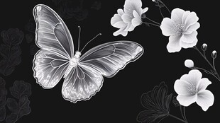 蝶舞繁花黑白艺术插画