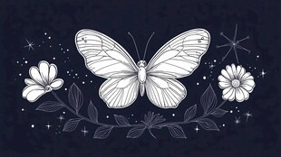 蝴蝶花卉星空梦幻插画