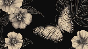 蝶舞繁花 黑白优雅图案