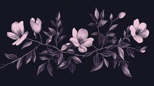 粉色花卉枝条插画