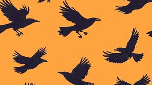 飞鸟橙色背景无缝图案
