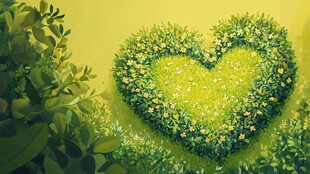 心形绿植景观 清新浪漫