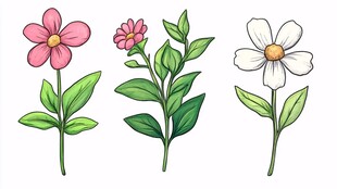 三朵手绘风可爱花卉插画